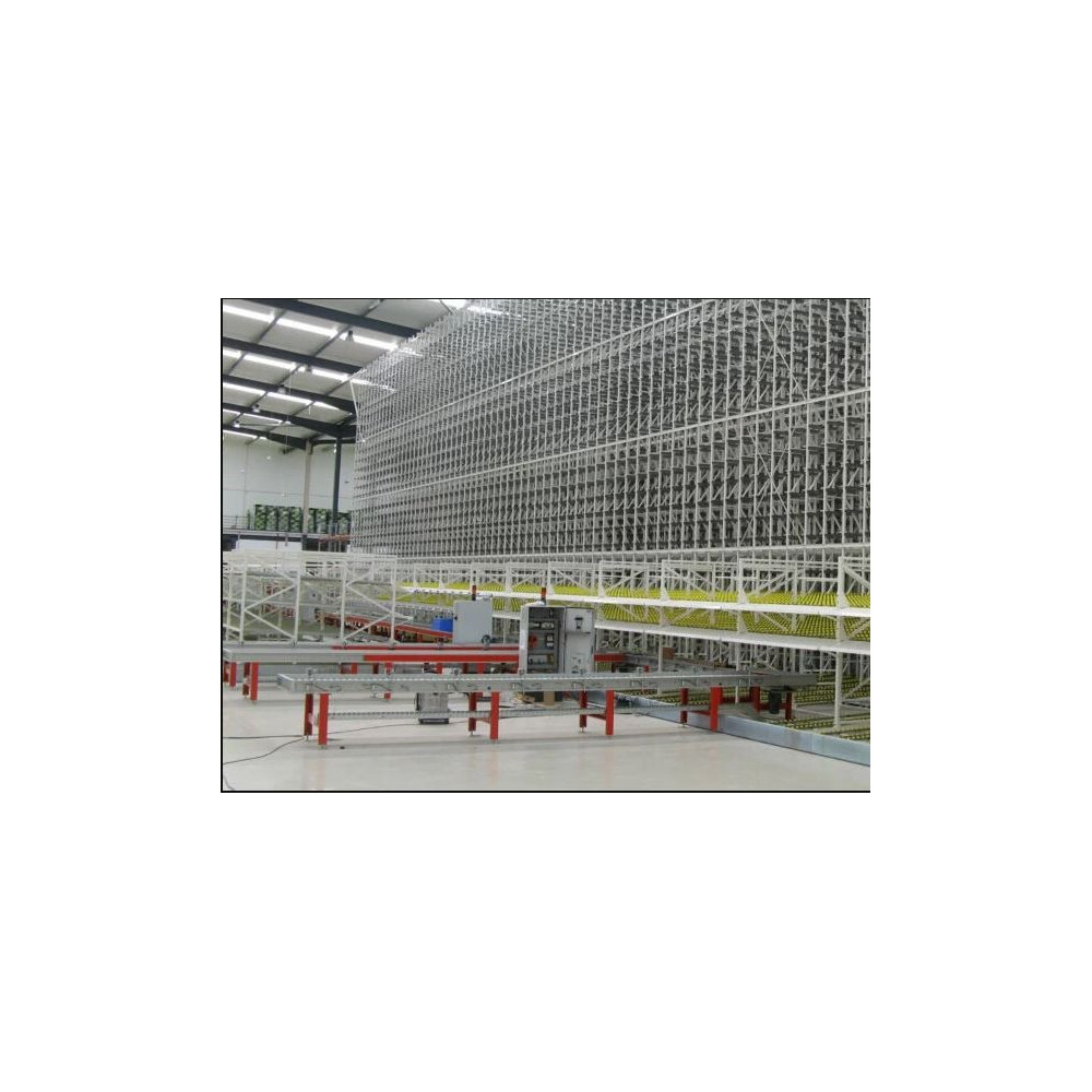 Paletização Automática